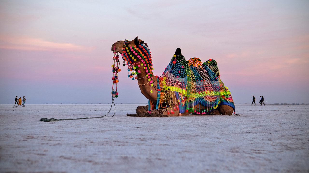 Explore Bhuj and Kutch